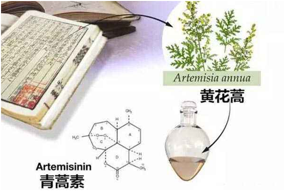 安博体育,（中国）网站首页：向中医药看齐，与世界共享中医药文化(图1)